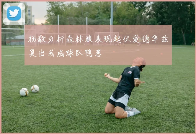 杨毅分析森林狼表现起伏爱德华兹复出或成球队隐患